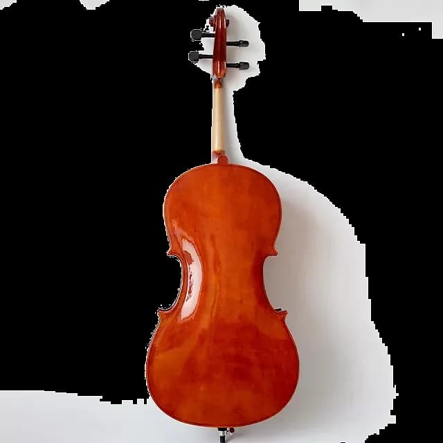 VIOLONCHELO LZSC088 — foto 2