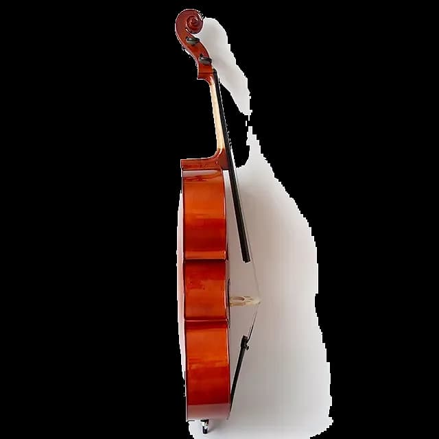 VIOLONCHELO LZSC088 — foto 3