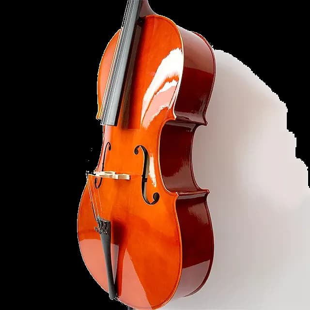 VIOLONCHELO LZSC088 — foto 4
