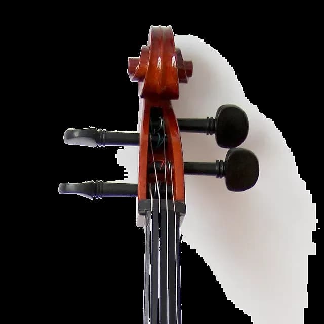 VIOLONCHELO LZSC088 — foto 5