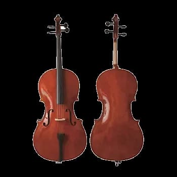 VIOLONCHELO LZSC088 — foto 6