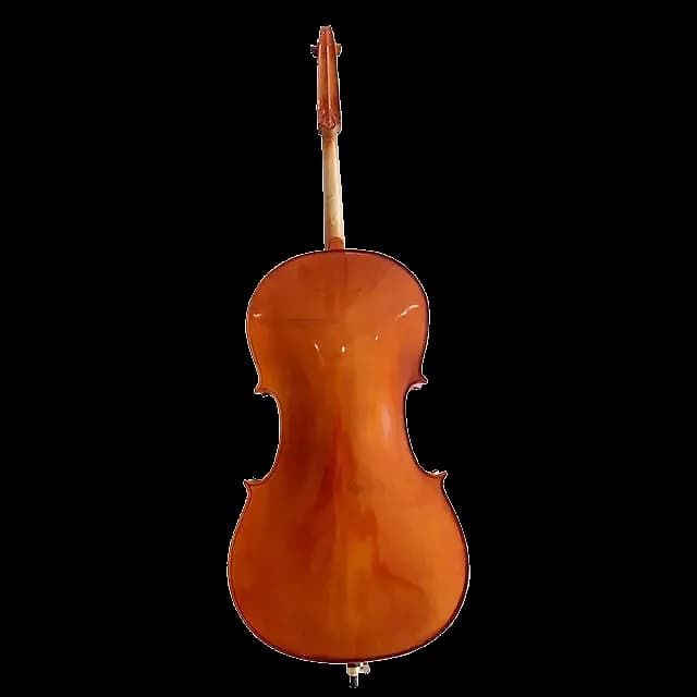 VIOLONCHELO LZSC099 — foto 3