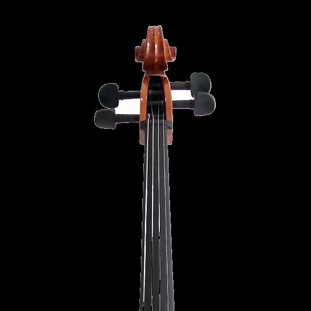 VIOLONCHELO LZSC099 — foto 4