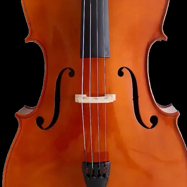 VIOLONCHELO LZSC099 — foto 5