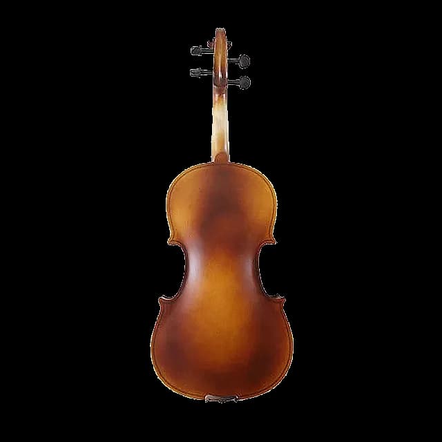 LZSV088 VIOLÍN — foto 2