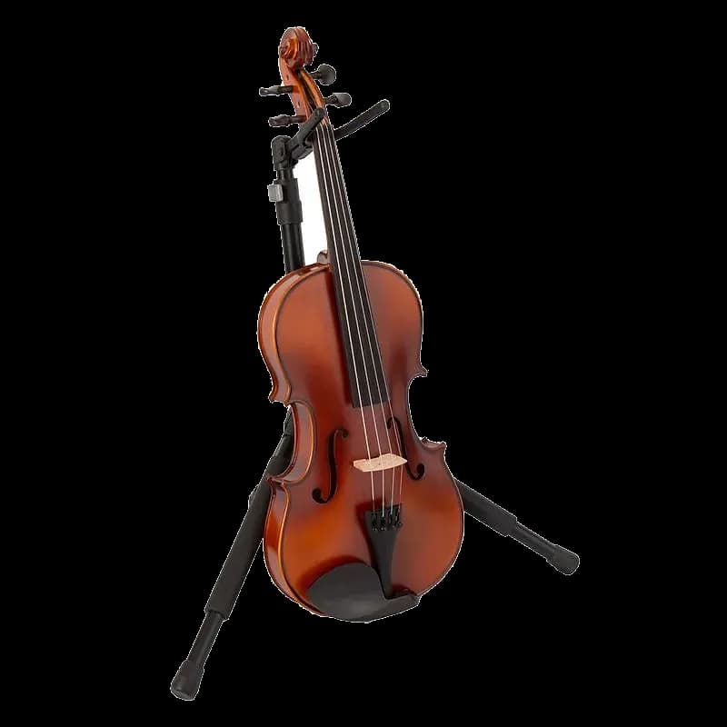 VIOLAS LZSVH099 — foto 2