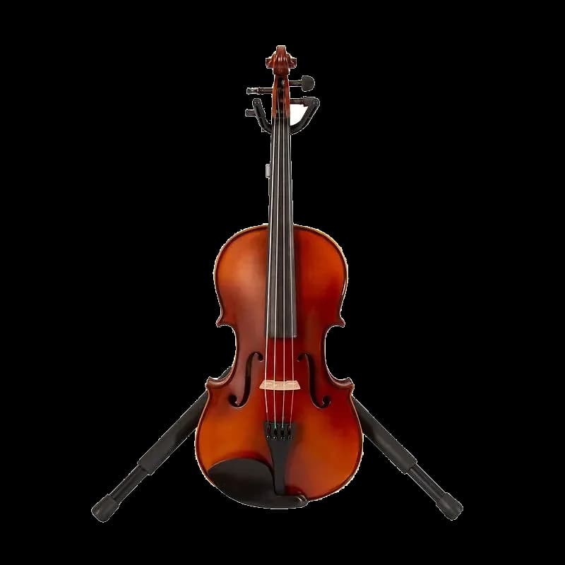 VIOLA DE 15 LZS COLOR MATE