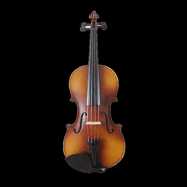 VIOLÍN 1/2 LZS COLOR MATE