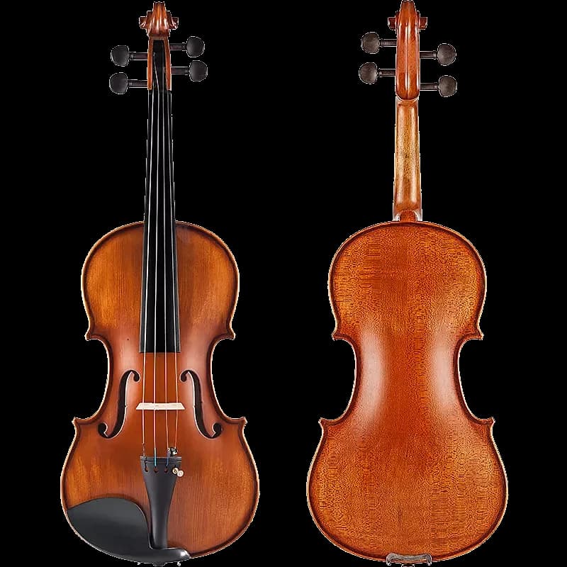 VIOLÍN 3/4 STUDENT LZS COLOR MATE