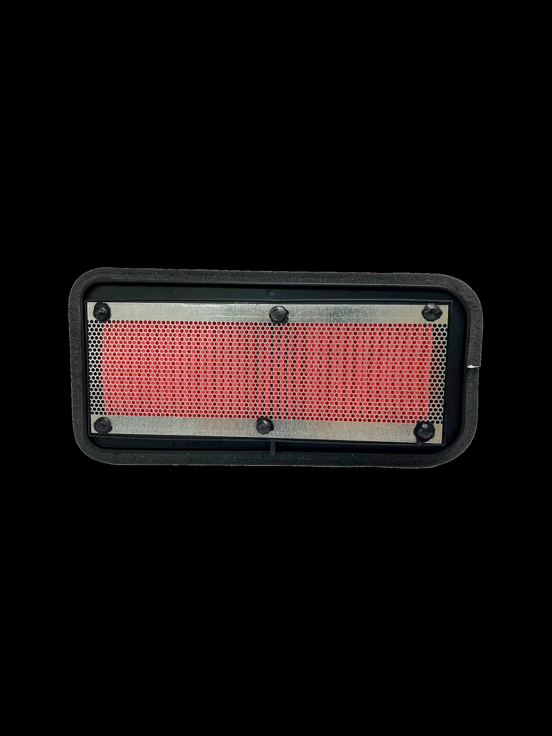 FILTRO AIRE FZN250