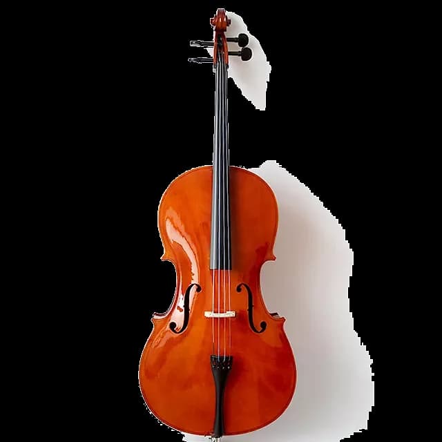 VIOLONCHELO LZSC088