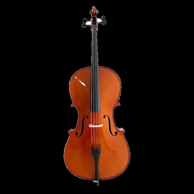 VIOLONCHELO LZSC099
