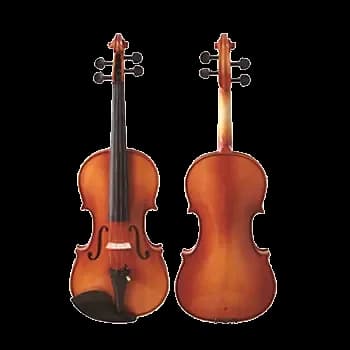 VIOLAS LZSVH099