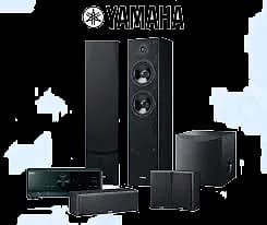 NS-F51 PARLANTE PRINCIPAL AUDIO (PAR)