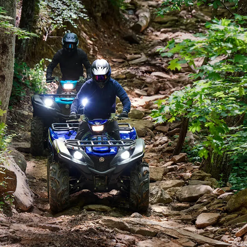 Yamaha Grizzly 700 — foto 4 de la galería