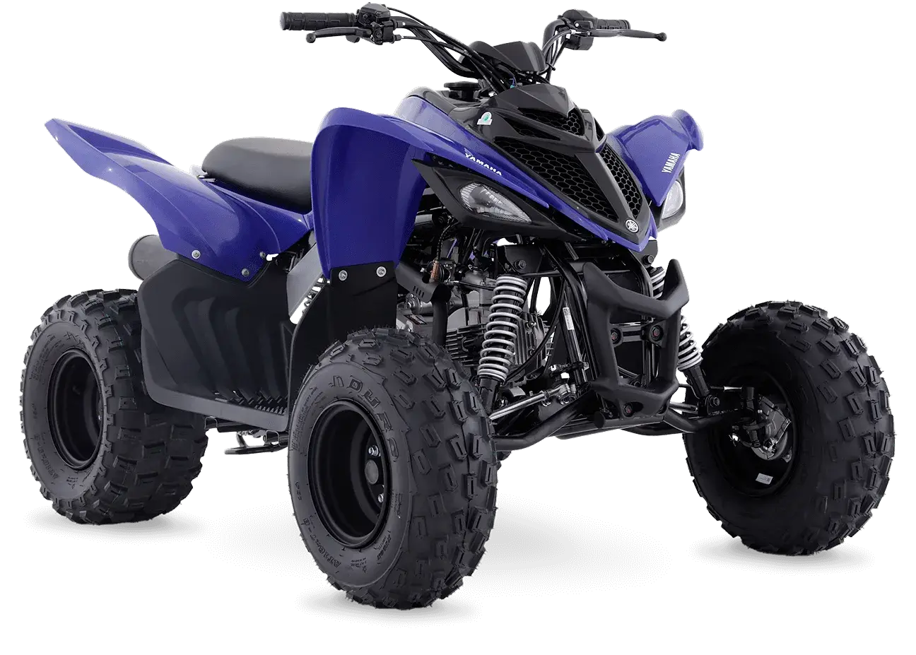 Raptor 110