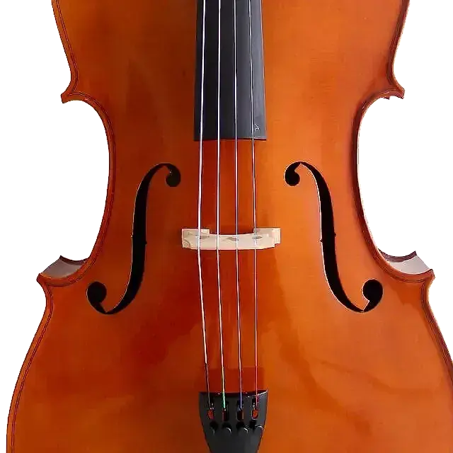 VIOLONCHELO 4/4 MARCA LZS COLOR MATE (SOLID) — foto 3