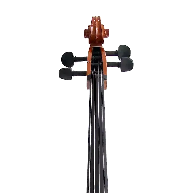 VIOLONCHELO 4/4 MARCA LZS COLOR MATE (SOLID) — foto 4