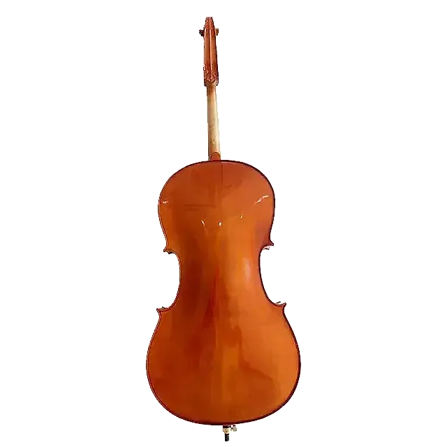 VIOLONCHELO 4/4 MARCA LZS COLOR MATE (SOLID) — foto 2