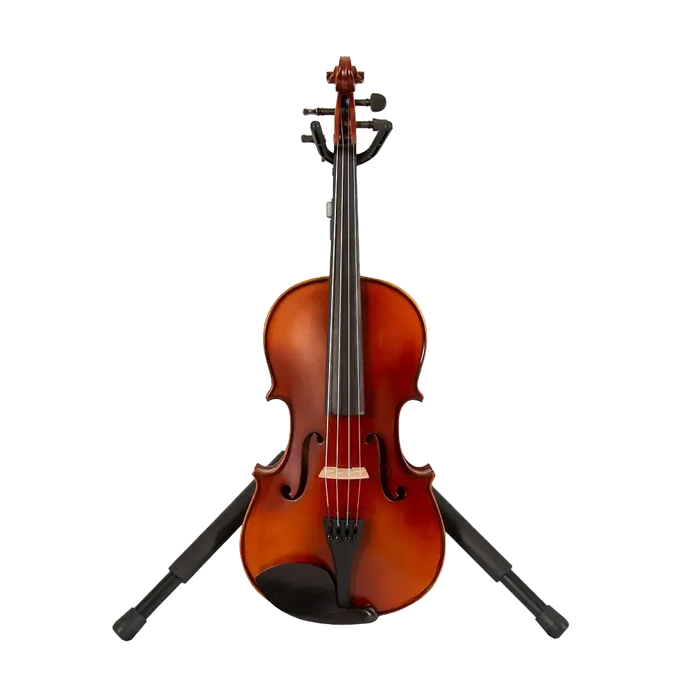 VIOLA DE 13 LZS COLOR MATE