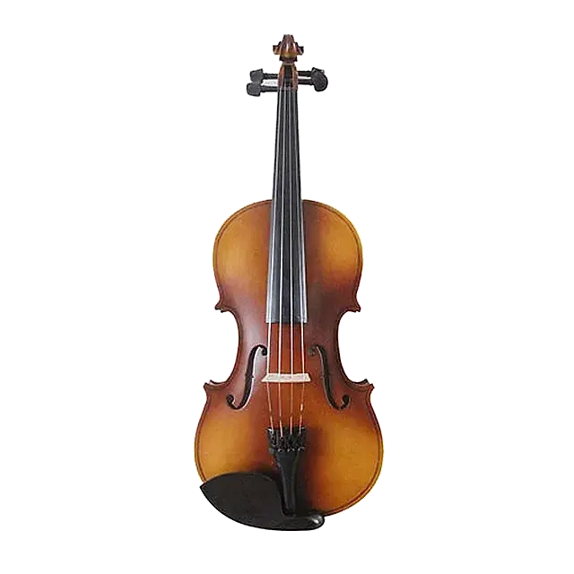 VIOLÍN 1/2 LZS COLOR MATE