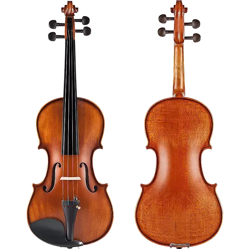 VIOLÍN 3/4 STUDENT LZS COLOR MATE